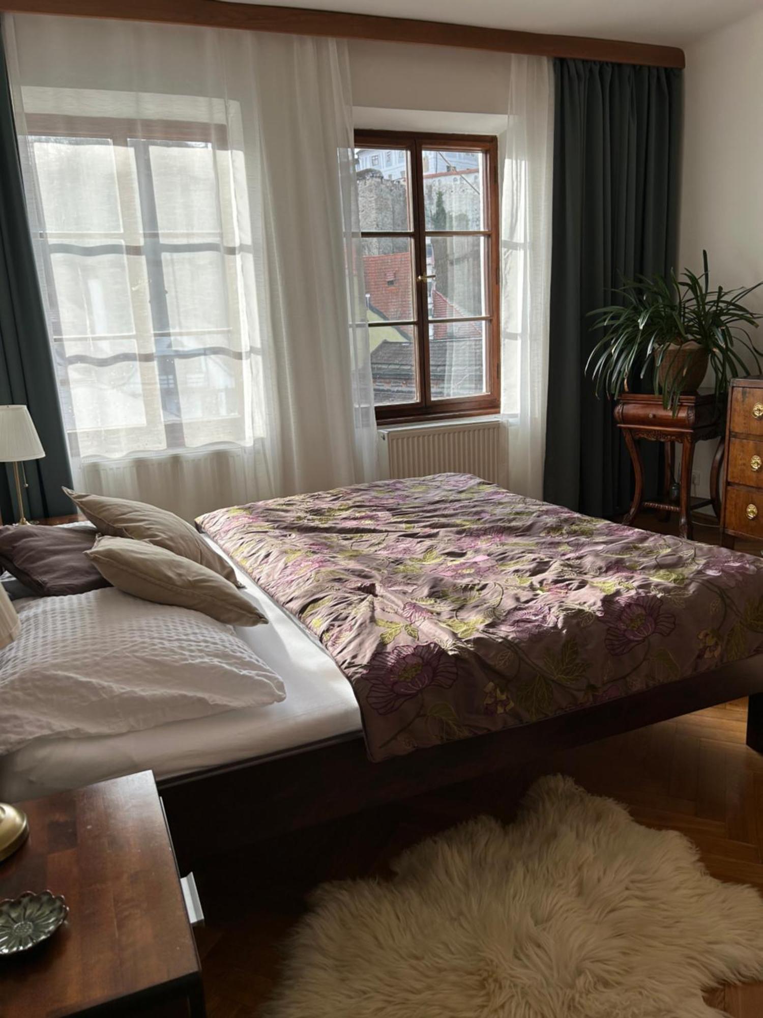 Apartments Dlouha 93 Český Krumlov Buitenkant foto