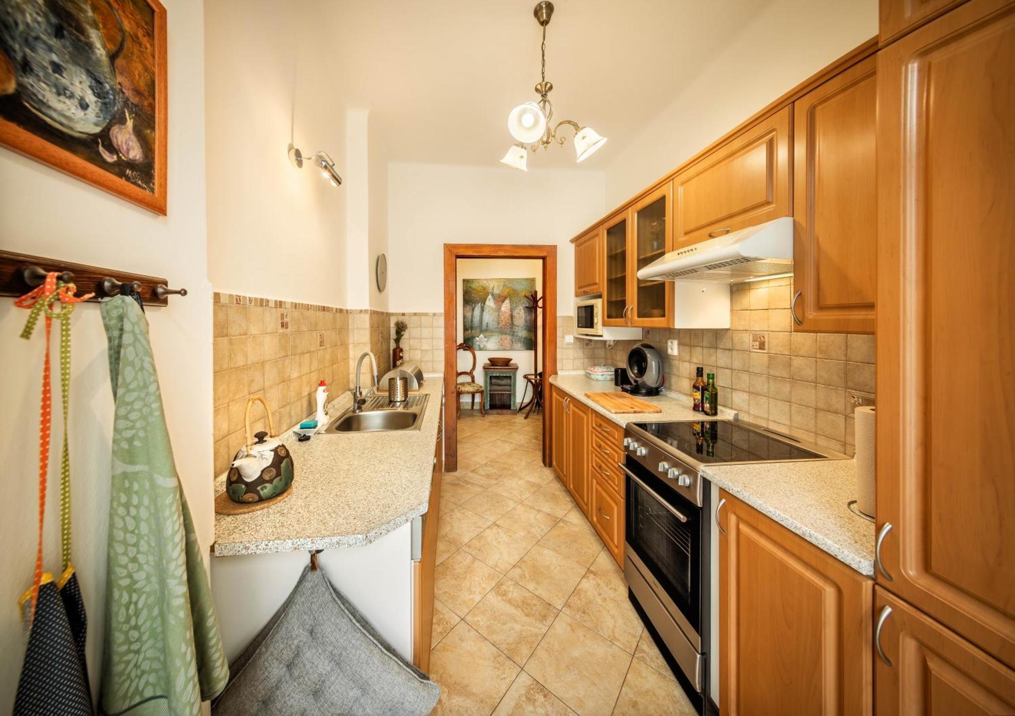Apartments Dlouha 93 Český Krumlov Buitenkant foto